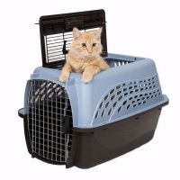 consulta-felina-barcelona