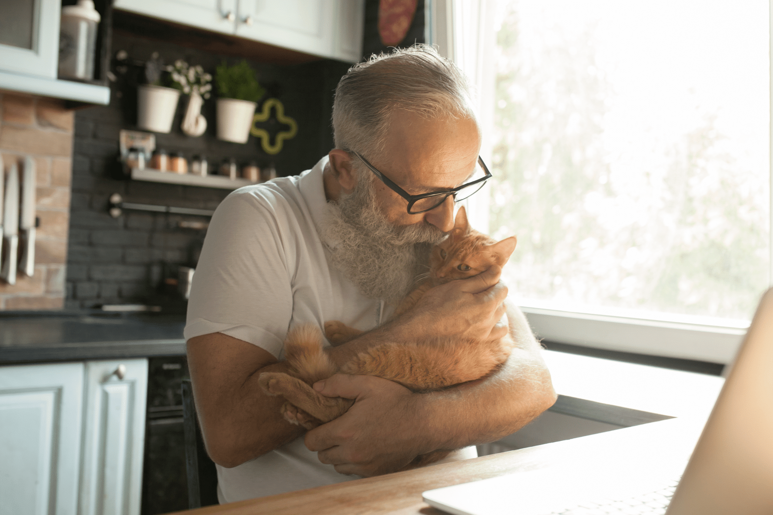 beneficios de tener una mascota