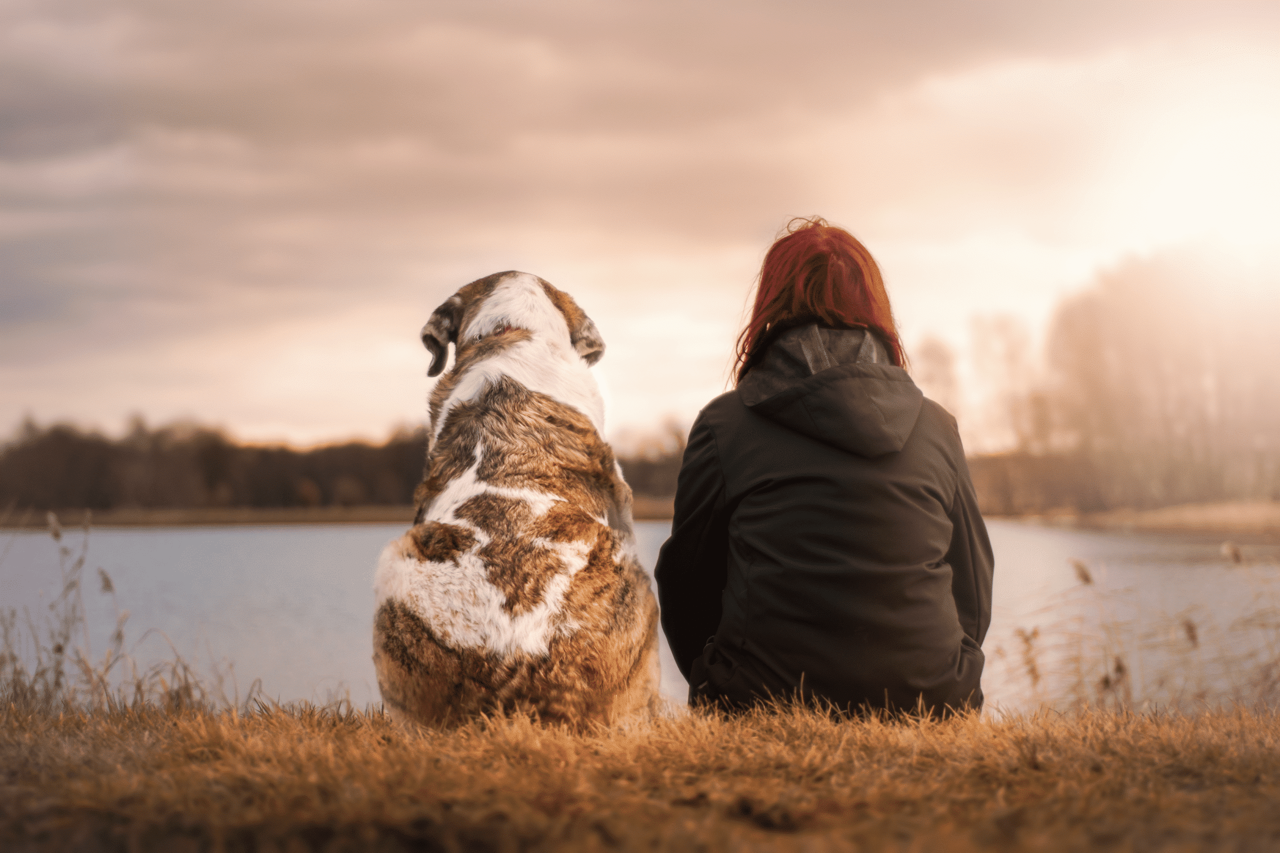 Persona cuida a su perro