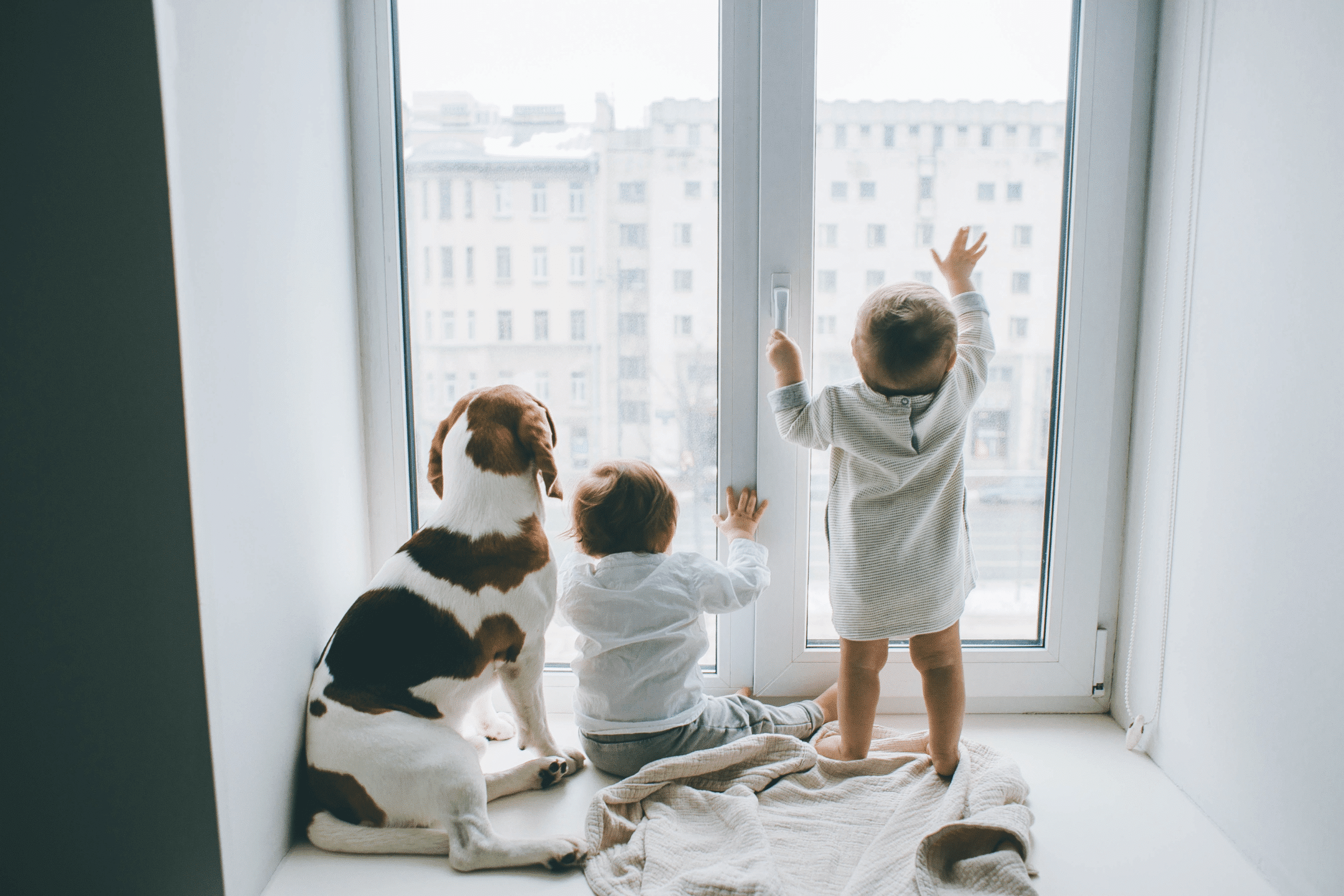 beneficios de tener una mascota en niños