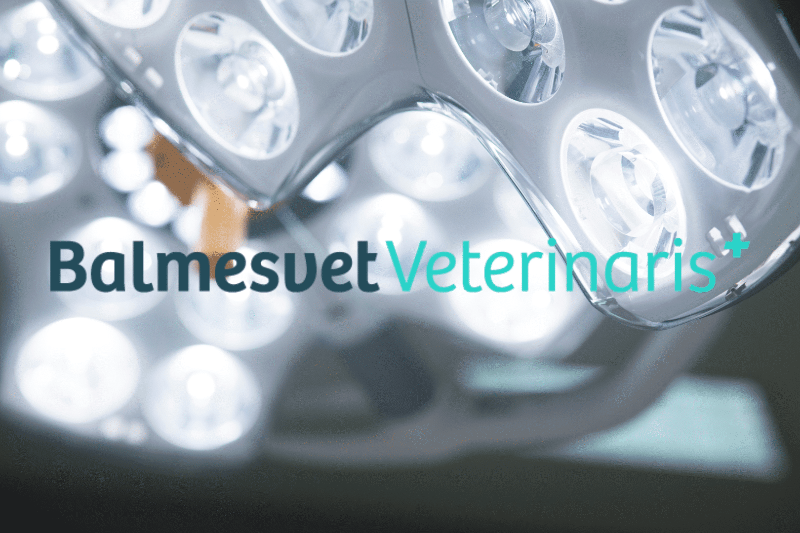 Balmesvet ofrece cirugía mínimamente invasiva