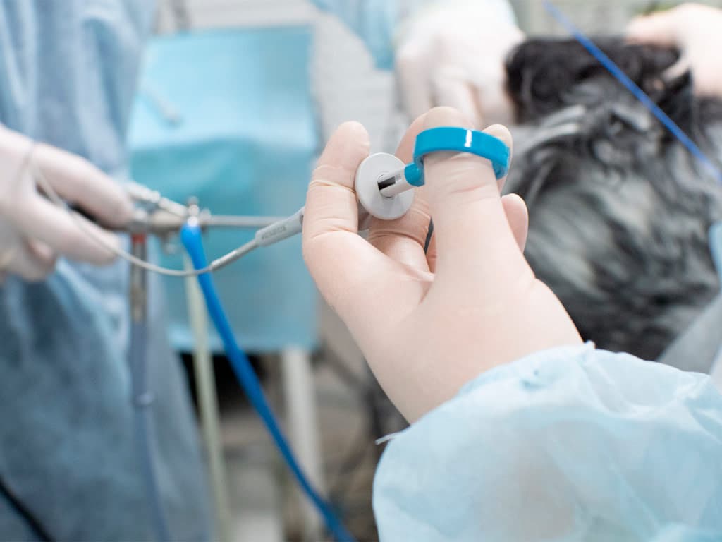 veterinario en barcelona