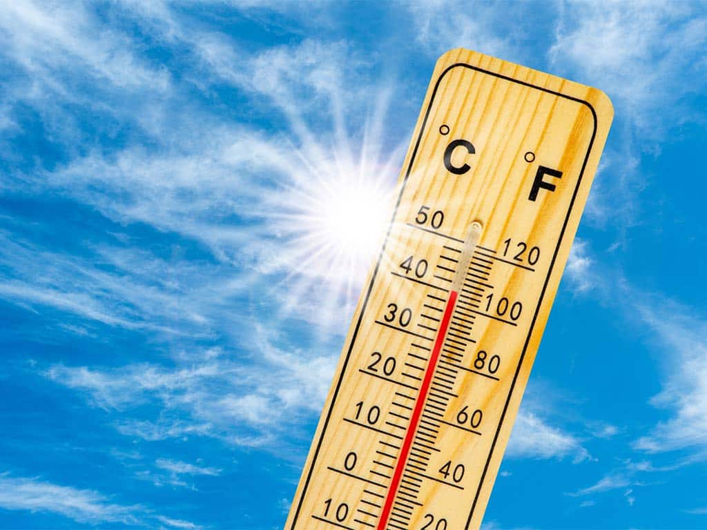 golpe de calor en perros