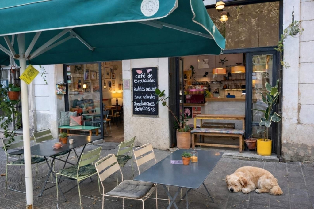 Cafeteria dog friendly a Sant Antoni a Cafè Cometa amb ambient tranquil
