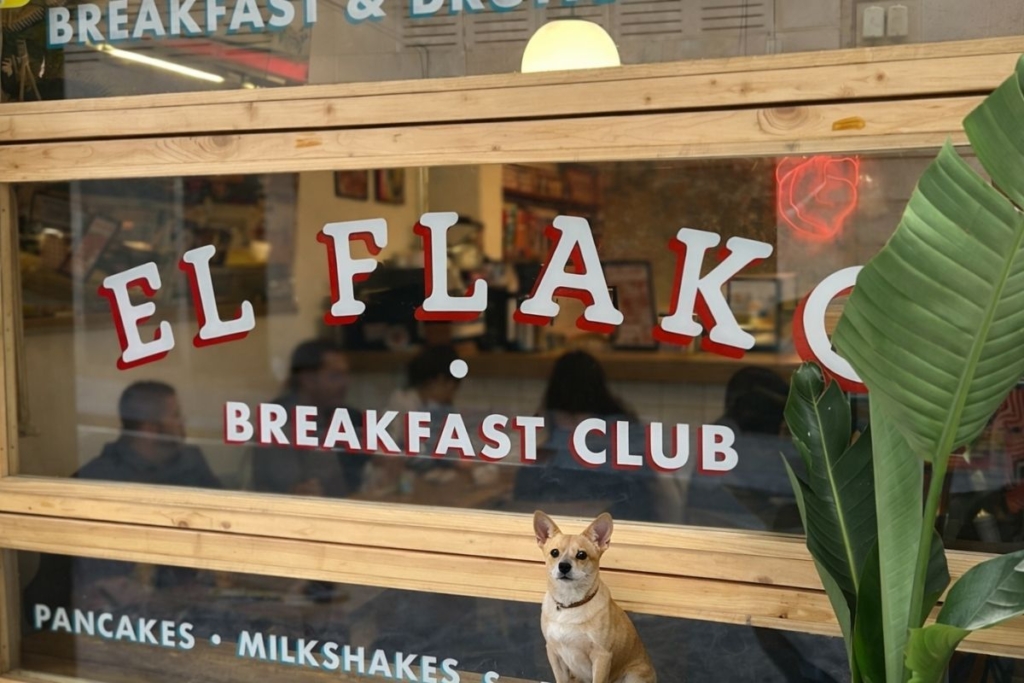 Esmorzar dog friendly al Gòtic a El Flako Breakfast Club
