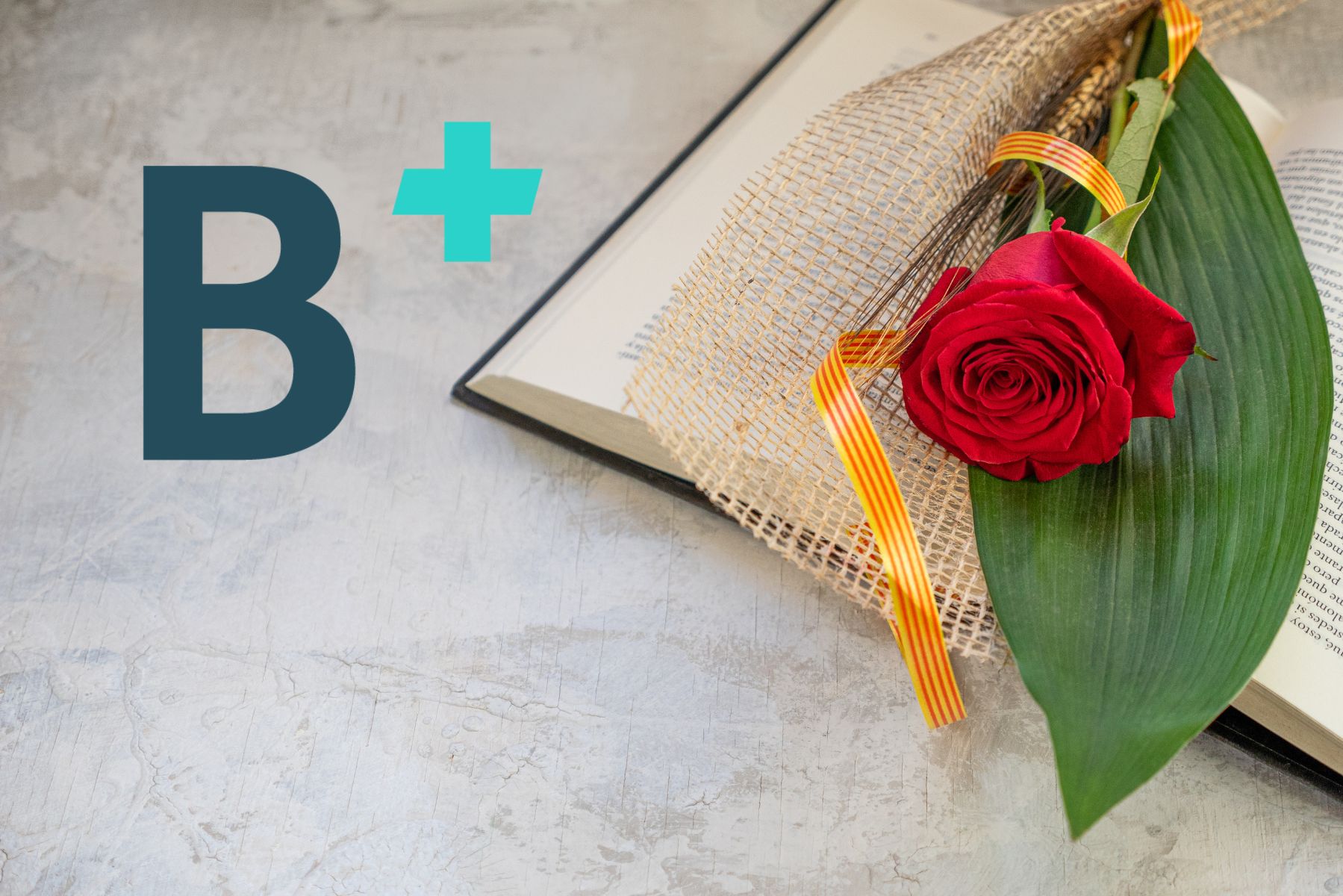 Sant Jordi con perros y gatos en Barcelona: libros recomendados, rosa y consejos de seguridad en casa.