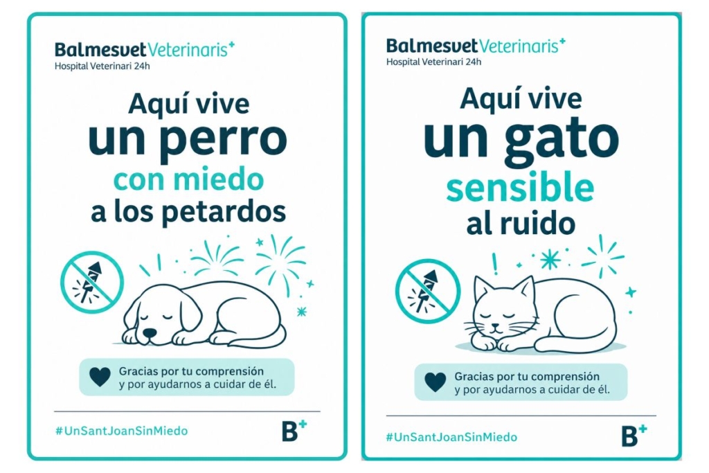 Campanya de conscienciació sobre l’ansietat pels petards en gossos i gats durant Sant Joan.
