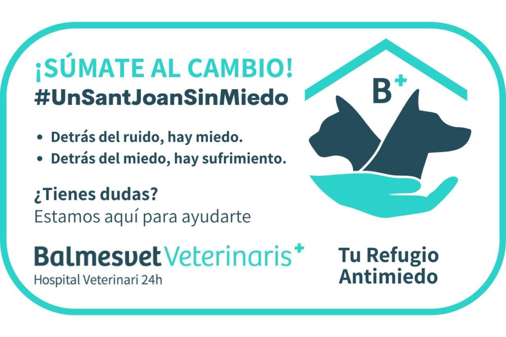 Campanya Un Sant Joan Sense Por de Balmesvet per ajudar gossos i gats sensibles al soroll.
