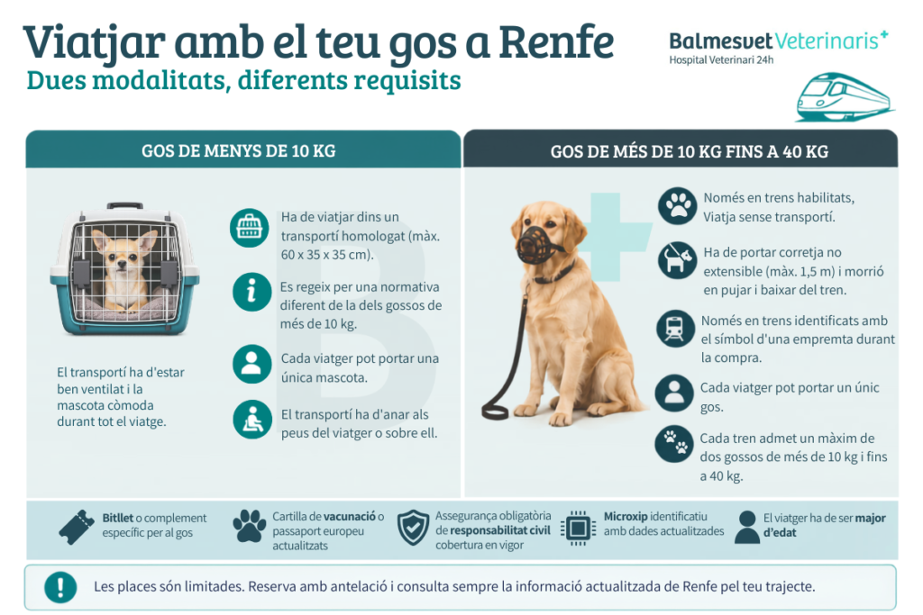 Infografia comparativa dels requisits per viatjar amb un gos a Renfe: gossos de menys de 10 kg i gossos de més de 10 kg fins a 40 kg.
