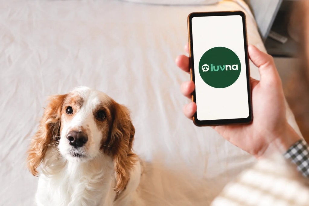 Perro junto a un móvil con Luvna, plataforma para conectar casas de acogida y protectoras