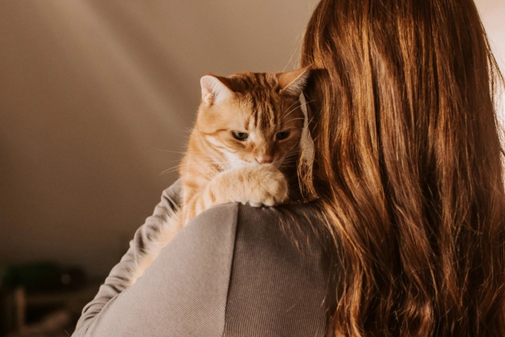 Persona abrazando a un gato durante una acogida temporal